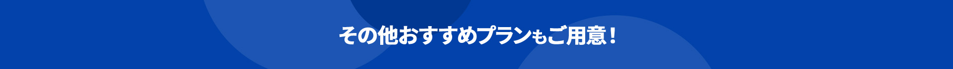 その他おすすめプランもご用意!